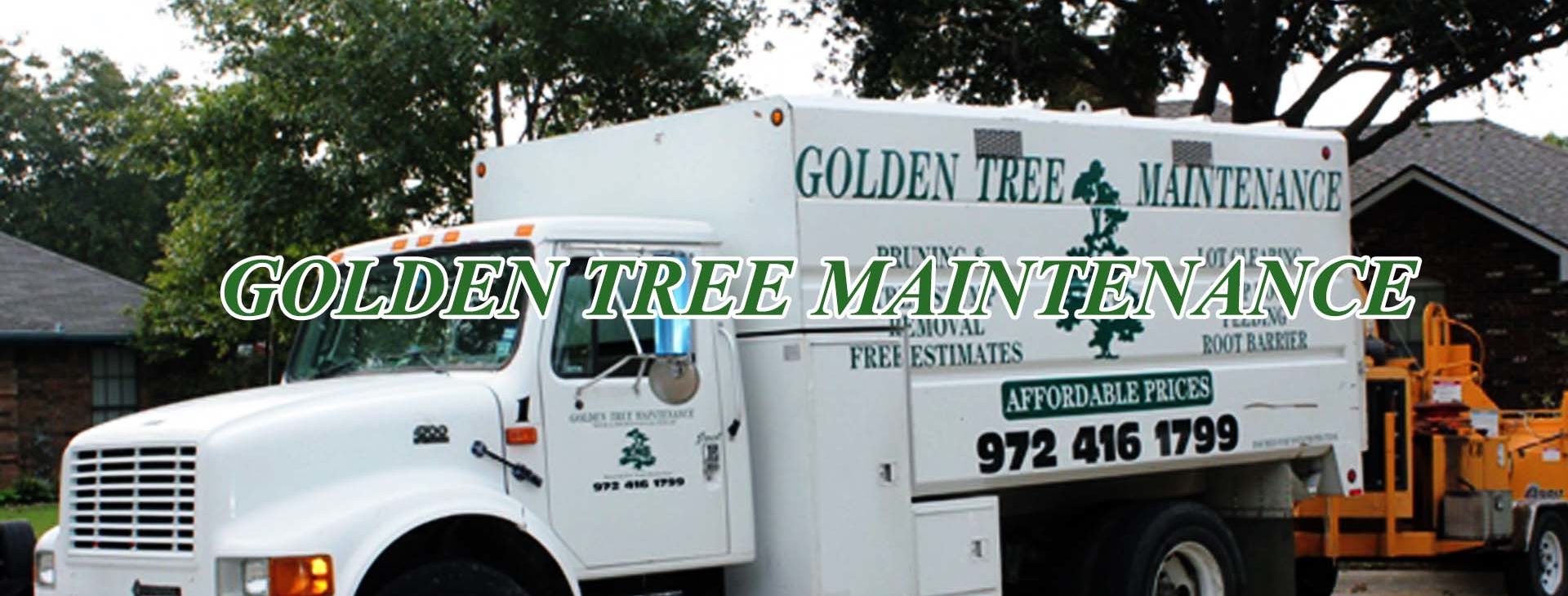 Golden Tree Maintenance Lewisville Little Elm