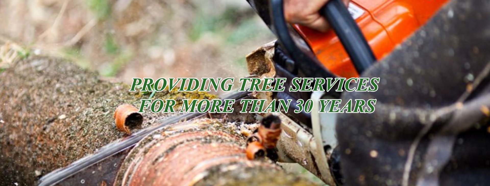 Golden Tree Maintenance Lewisville Little Elm